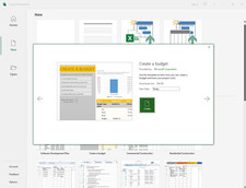 Microsoft Project Professional