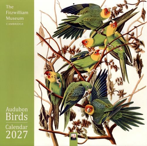 Fitzwilliam museum audubon - fitzwilliam, museum: