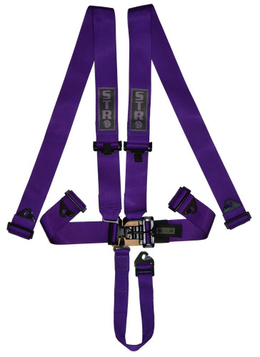 Nascar race harness point - race, 5-point