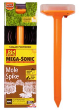 The Big Cheese Mega-Sonic