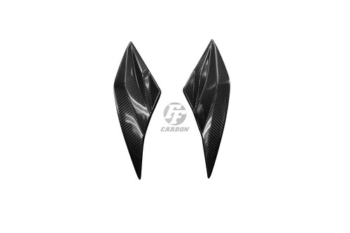 Carbon front fairing - fairing, (central