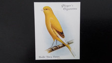 J. PLAYER  1935.  AVAIRY  AND CAGE   BIRDS.  N0 5.  BORDER  FANCY  CANARY.