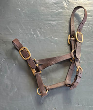 Brown Leather Headcollar Full