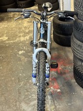 Silverfox Piranha Mountain