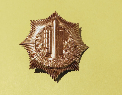 Police dutch municipal - municipal,