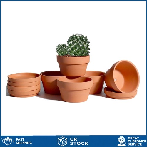 Elegant shallow terracotta - shallow,