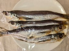 Stockfish Chekhon (lat