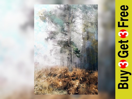 Forest walk landscape - forest,