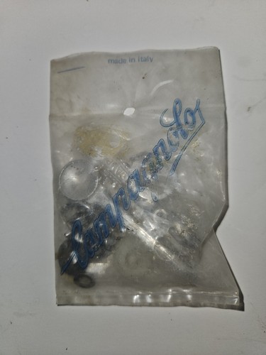 Campagnolo nuovo record - campagnolo,