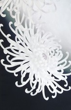 [AYANE] CHRYSANTHEMUMS ON B/W