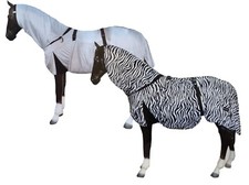 Best horse combo - combo, rug