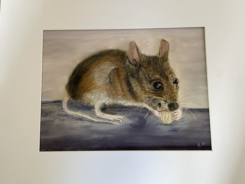 Original pastel wood - wood, mouse