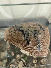 17th Century Bellarmine