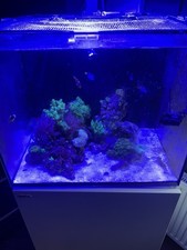 Red Sea Reefer 170 With TMC Pump ehime heater Jump Guard And Pipework All Workin