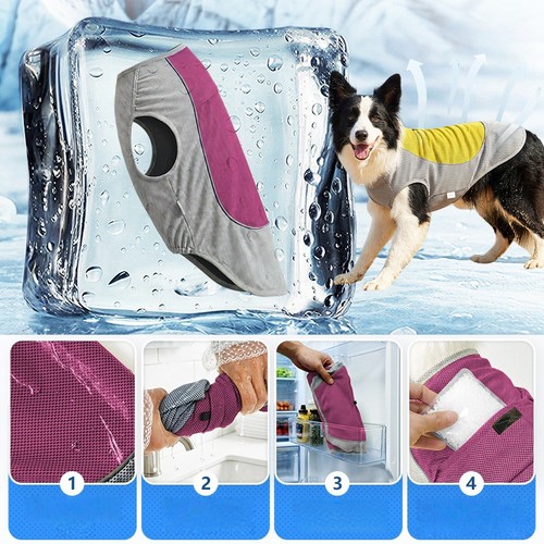 Pet dog cooling - cooling, summer
