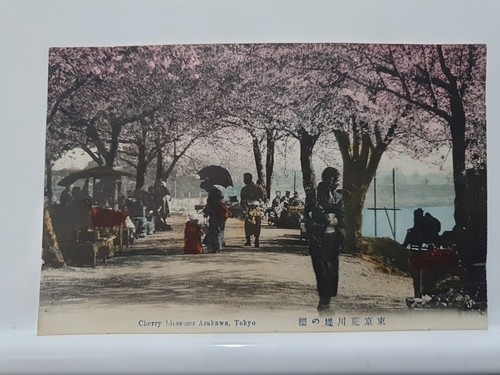 Vintage postcard cherry - vintage, postcard,