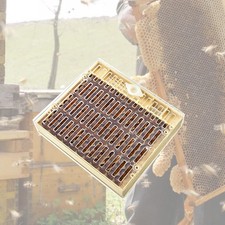 Queen Rearing Box Beekeepings