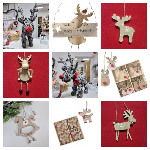 Reindeer christmas - reindeer,