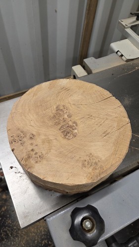 Pippy english oak - oak, blank