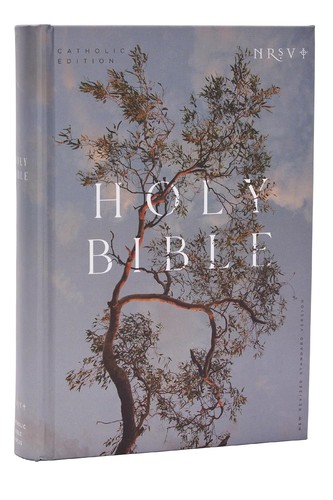 Nrsv catholic edition bible - catholic,
