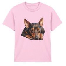 Miniature Pinscher Dog Animals