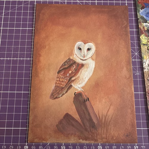 Barn owl painting - owl, acrylic