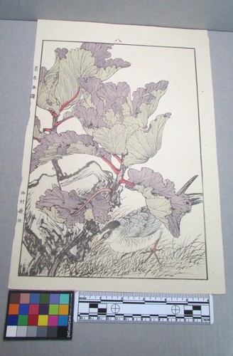 Woodblock print - woodblock,