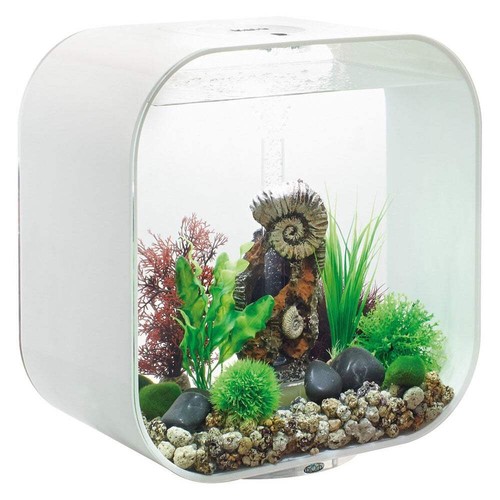 Biorb life aquarium fish - biorb,