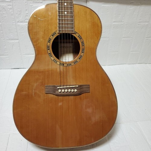 Aria adl 01n acoustic - adl-01n,
