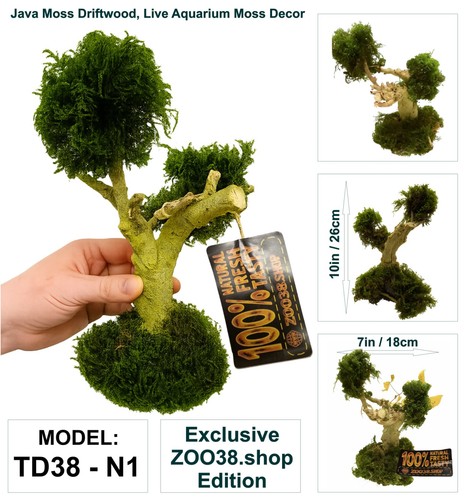 Java moss attached - to, bog