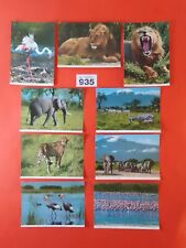 African Wildlife Postcards  × 9  By  John Hinde Ltd    Republic of Ireland