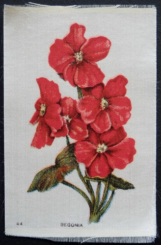 Garden flowers the - of,