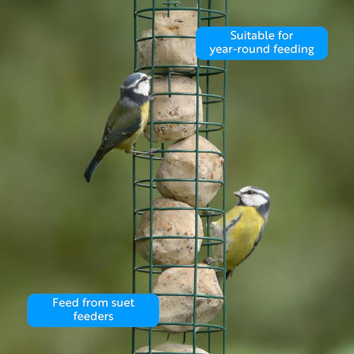 Rspb high energy suet balls - high,