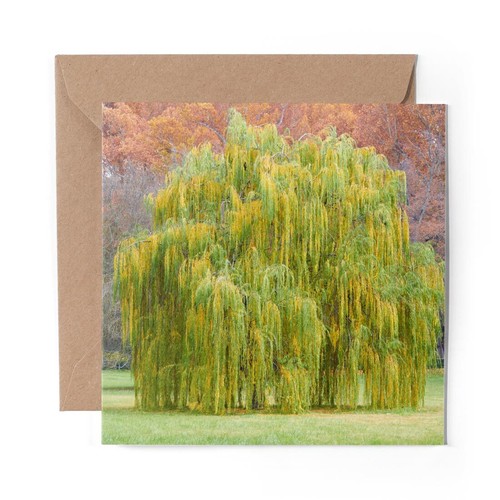 Blank greeting card - x,
