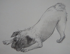 Original Hand Drawn Pencil Dog