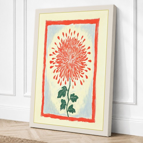 Chrysanthemum red botanical - in,