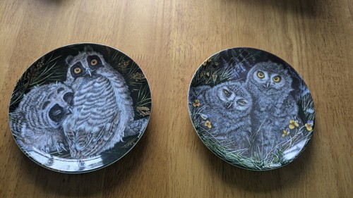 Pair wedgwood plate baby - of,