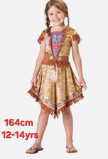 Pocahontas Native American