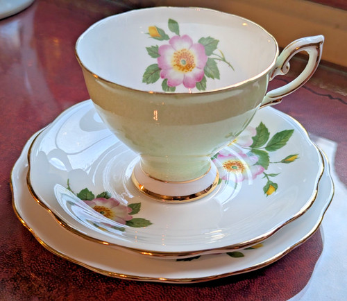 Royal standard harlequin trio - royal,