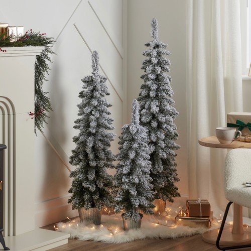 Set mini potted christmas - mini,