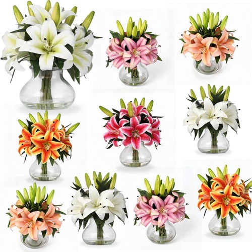 6heads artificial stargazer - 6heads,