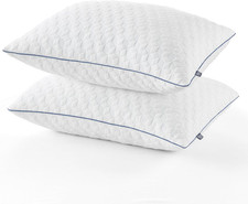 Bedstroy 2 Pack Pillows