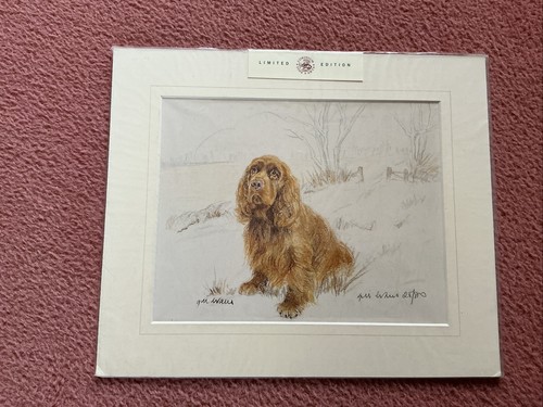 Limited edition signed mounted - edition,