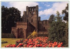 The Remains Of Kelso Abbey Scottish Borders Whiteholme Postcard