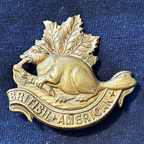 British america beaver maple - british, &