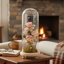 U-Shaped Glass Cloche Dome for