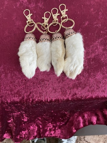 Lucky rabbits feet with - rabbits,