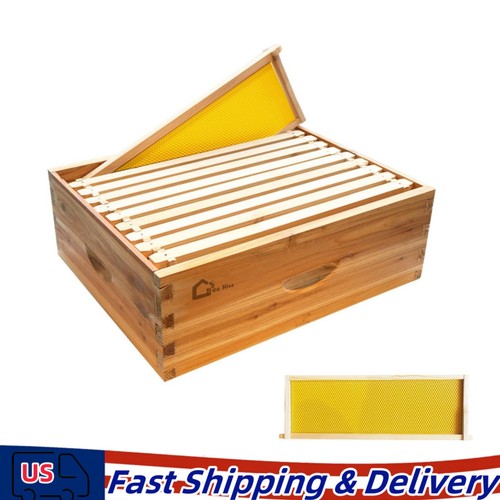 Frame medium super - super, hive