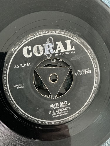 The crickets maybe - baby, 7”