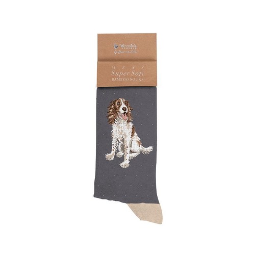Super soft springer spaniel - super,